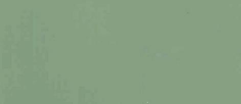 Бук. Цвет:Олива