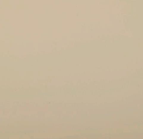 Ясень. Цвет: слоновая кость