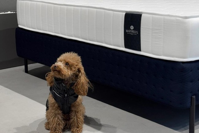 Матрас Меранжес мульти форте Матрас Меранжес мульти форте