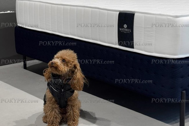 Матрас Materlux Sandin Multi Forte