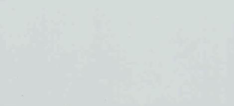 Бук. Цвет: серый Бук. Цвет: серый